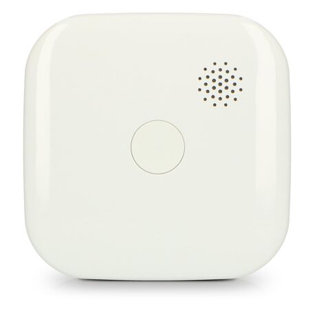 Alecto SA50 - Rookmelder met compact design - met 10 jaar batterij en garantie