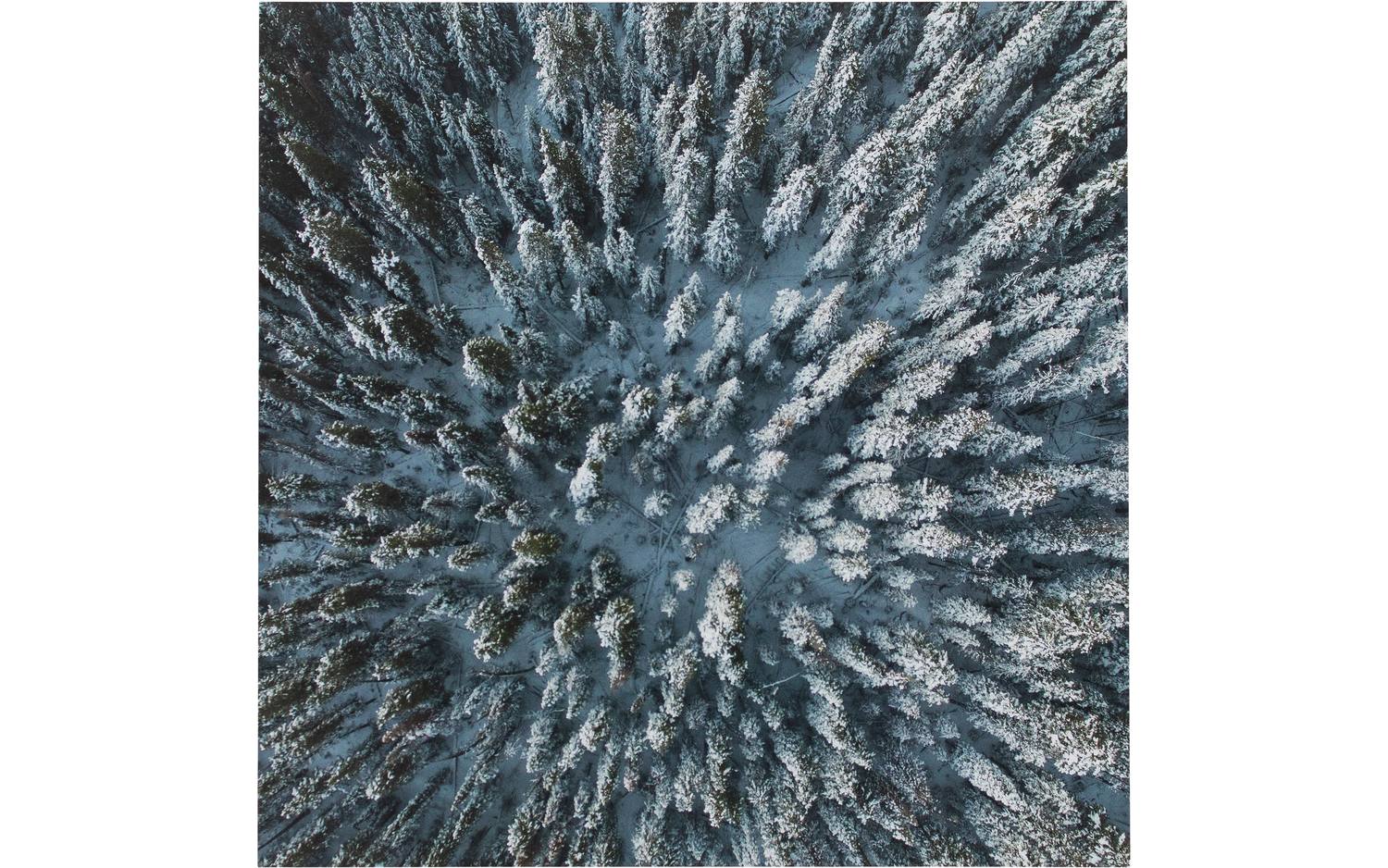 Goossens Schilderij In To The Woods, 74 x 74 cm - 8718823175059