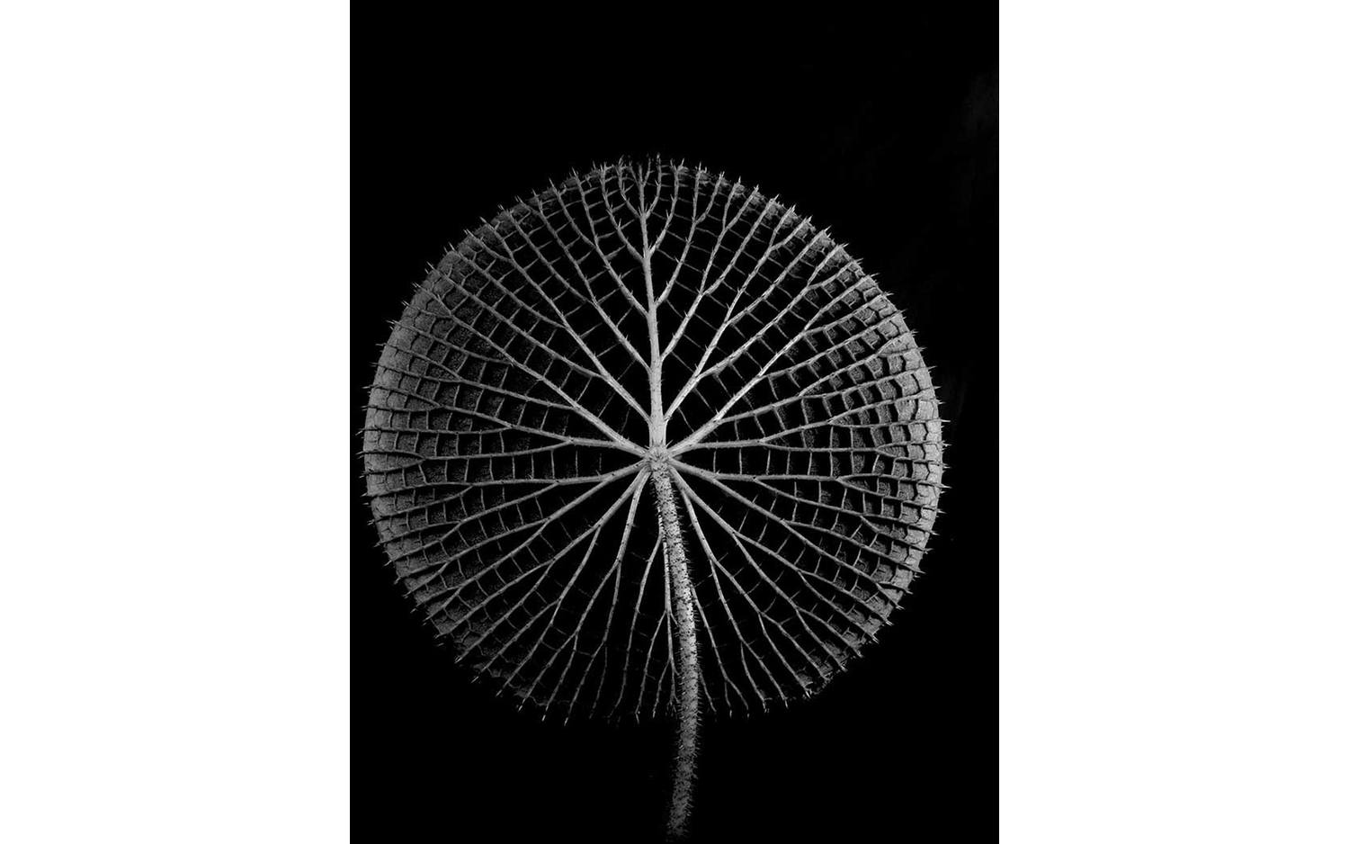 Goossens Schilderij After Midnight, 70 x 118 cm - 8718823104783