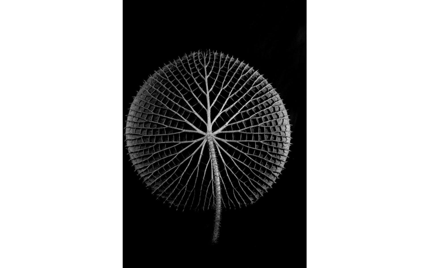 Goossens Schilderij After Midnight, 74 x 74 cm - 8718823104790