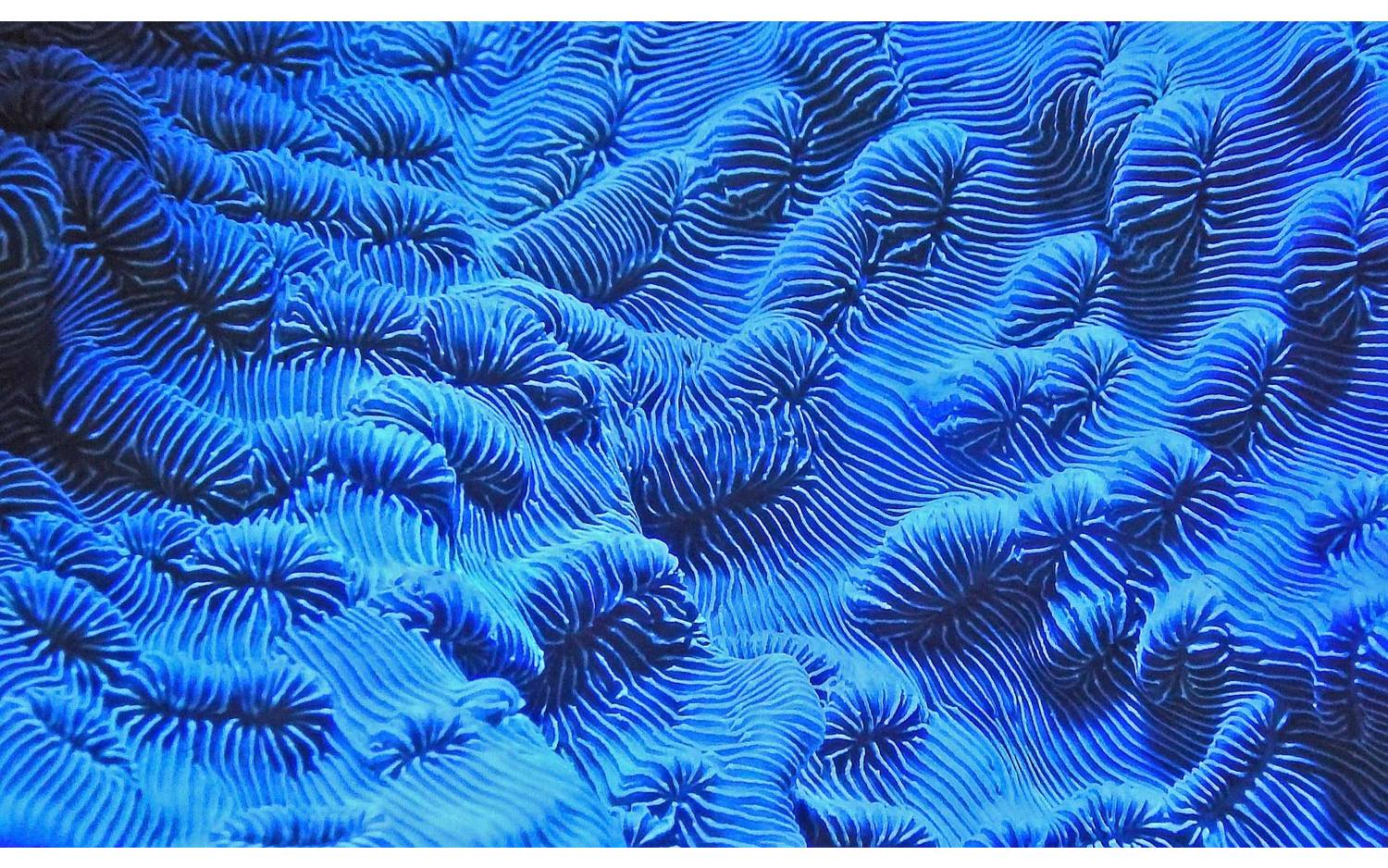 Goossens Schilderij Wonderful Life, 118 x 70 cm - 8718823104882