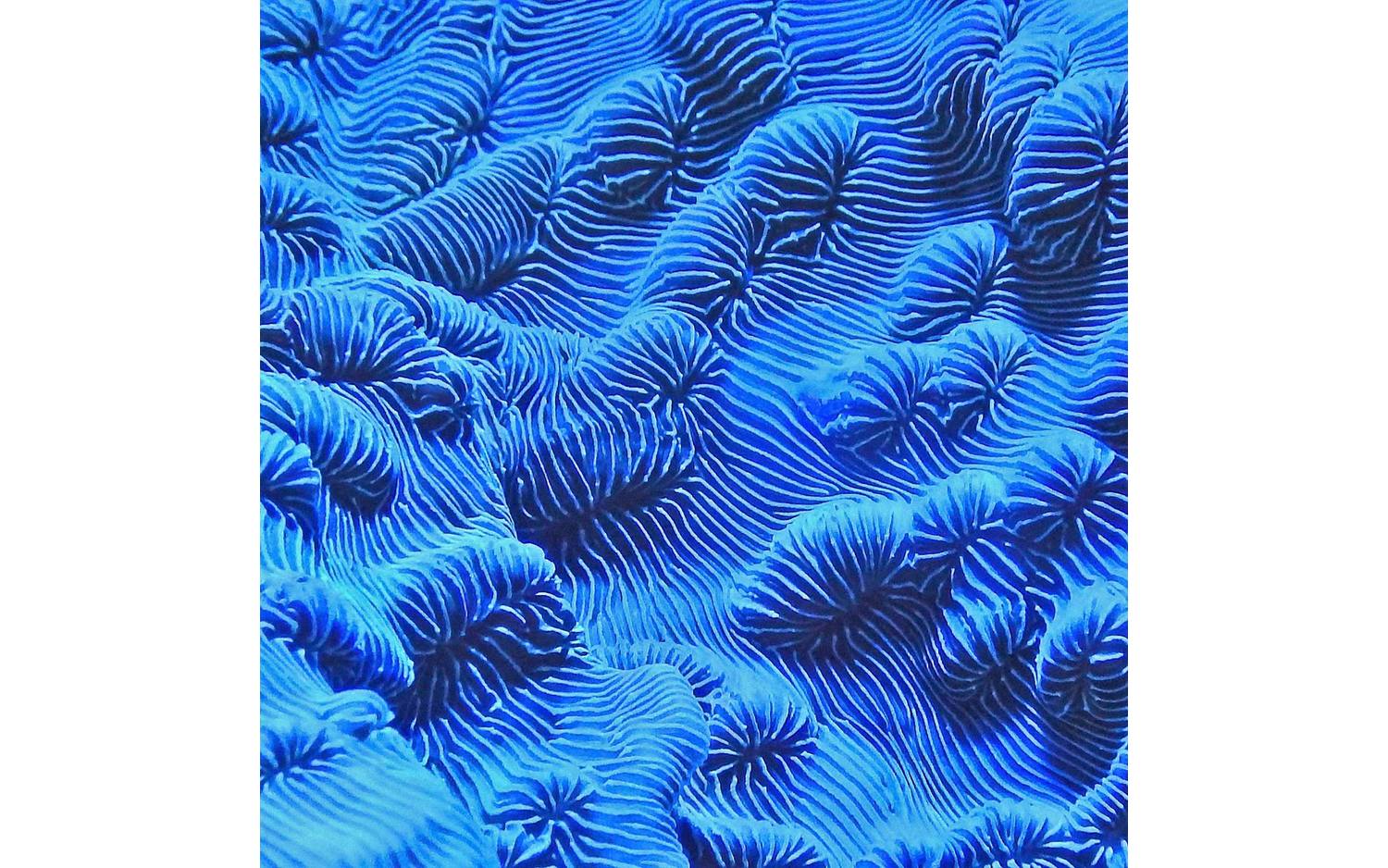 Goossens Schilderij Wonderful Life, 74 x 74 cm - 8718823104899