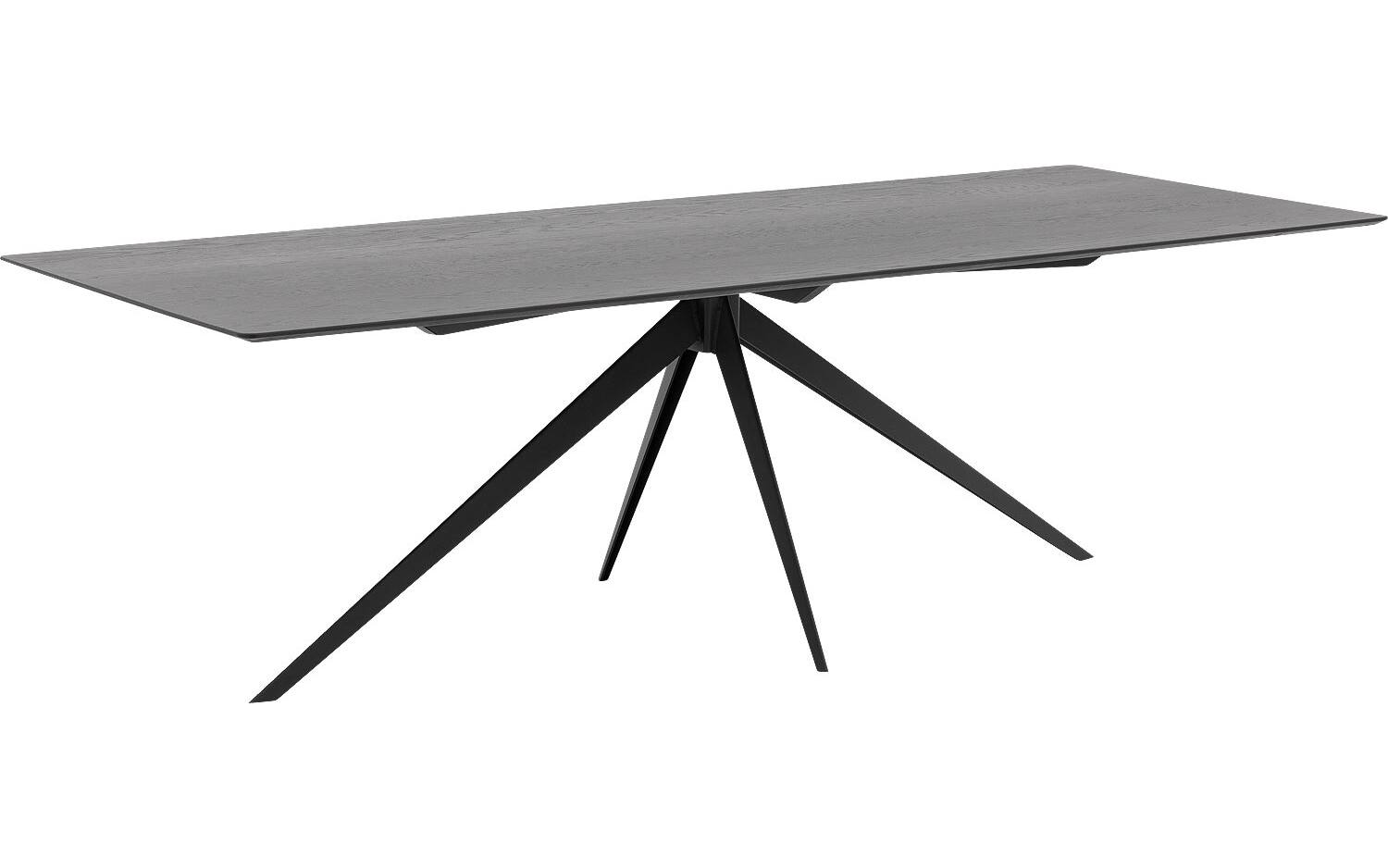 Goossens Excellent Eettafel Ferris Piramide Poot, Rechthoekig 260 x 100 cm - 8718823146639