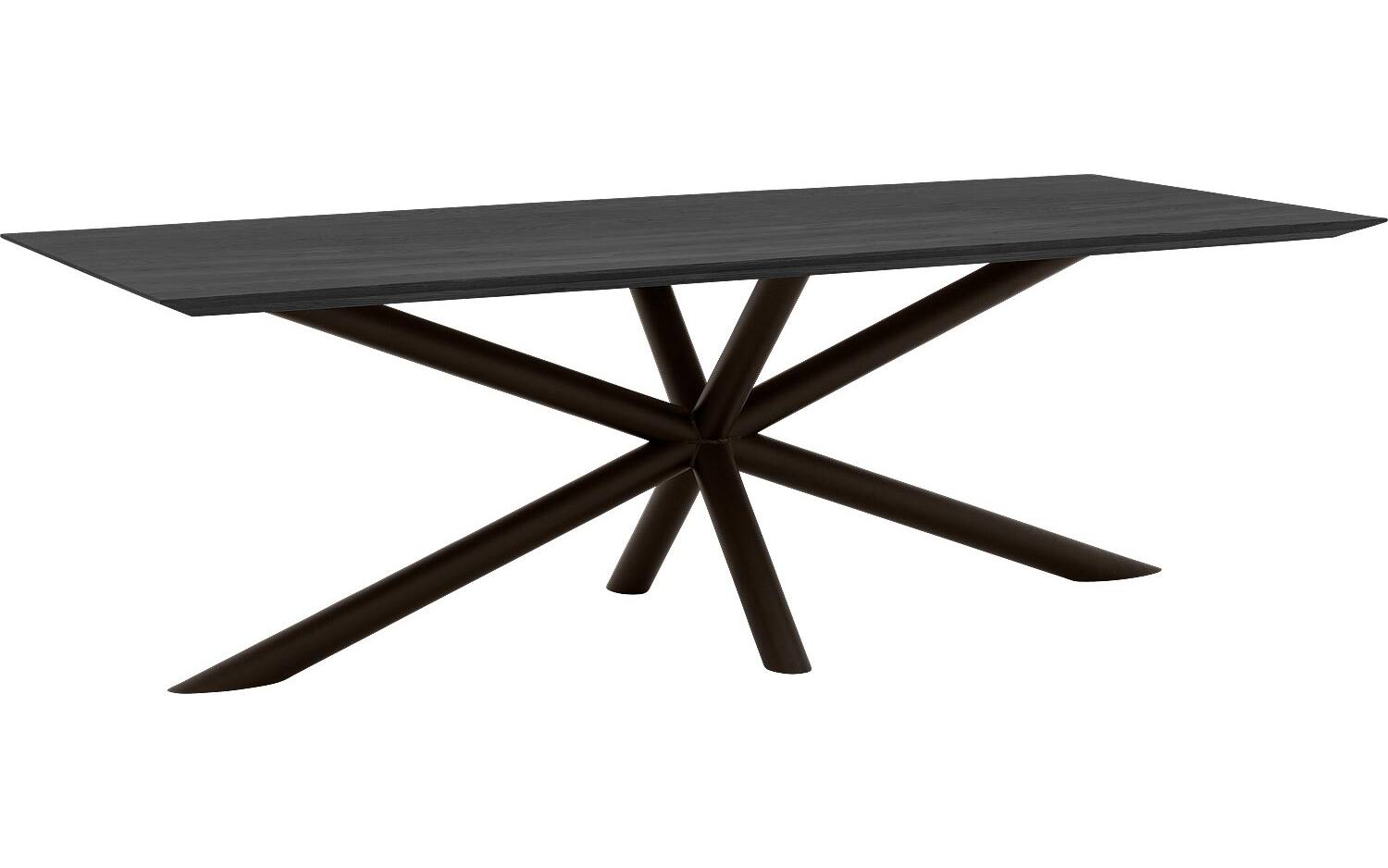 Goossens Excellent Eettafel Gs-1302, 240 x 100 cm rechthoekig - 8718823195101