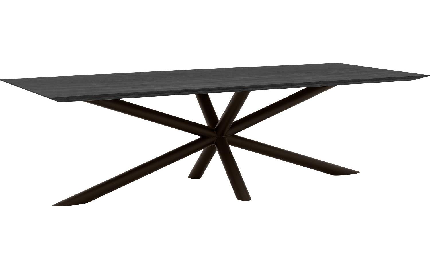 Goossens Excellent Eettafel Gs-1302, 300 x 110 cm rechthoekig - 8718823195132