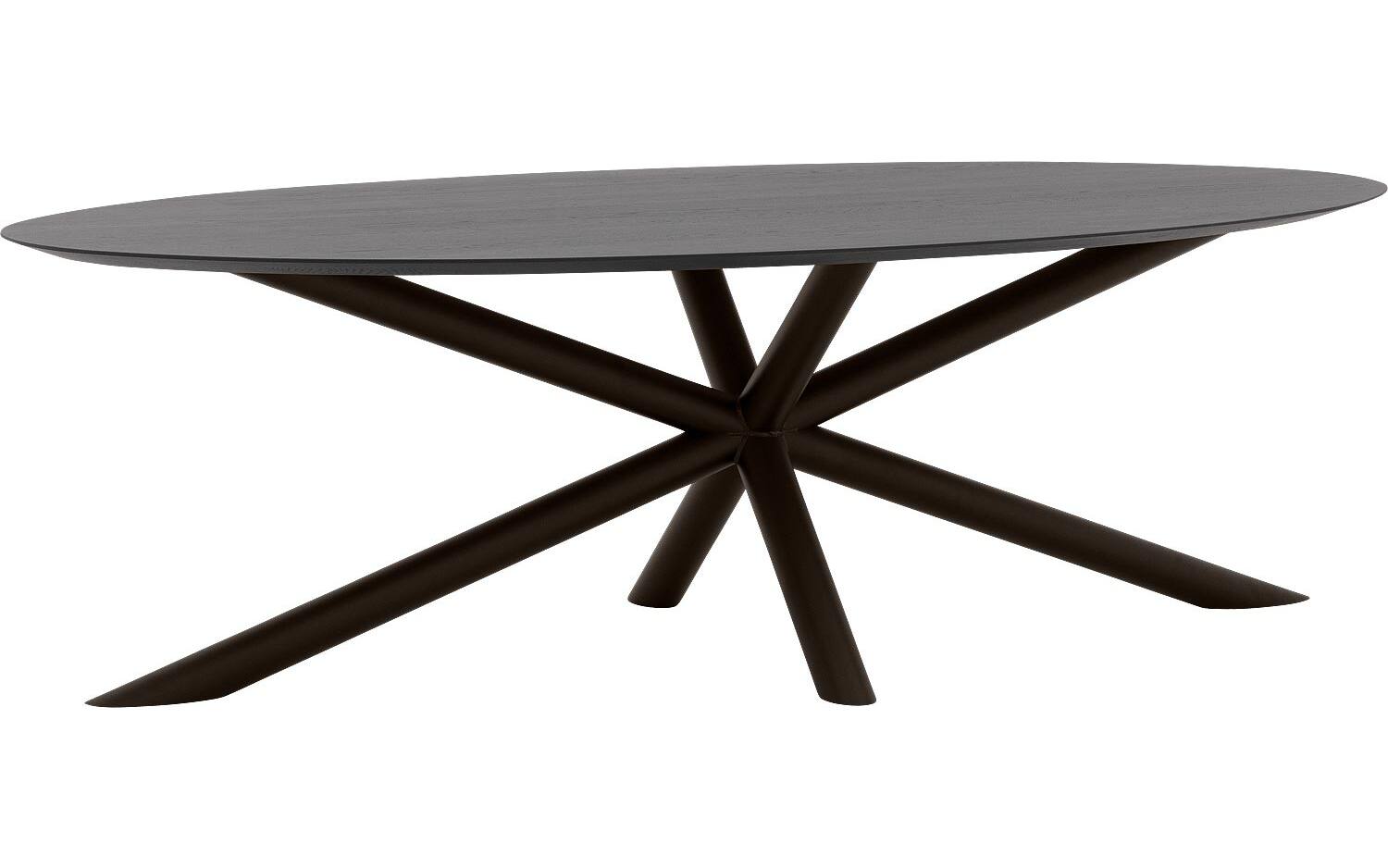 Goossens Excellent Eettafel Gs-1302, Ovaal 260 x 130 cm - 8718823195385