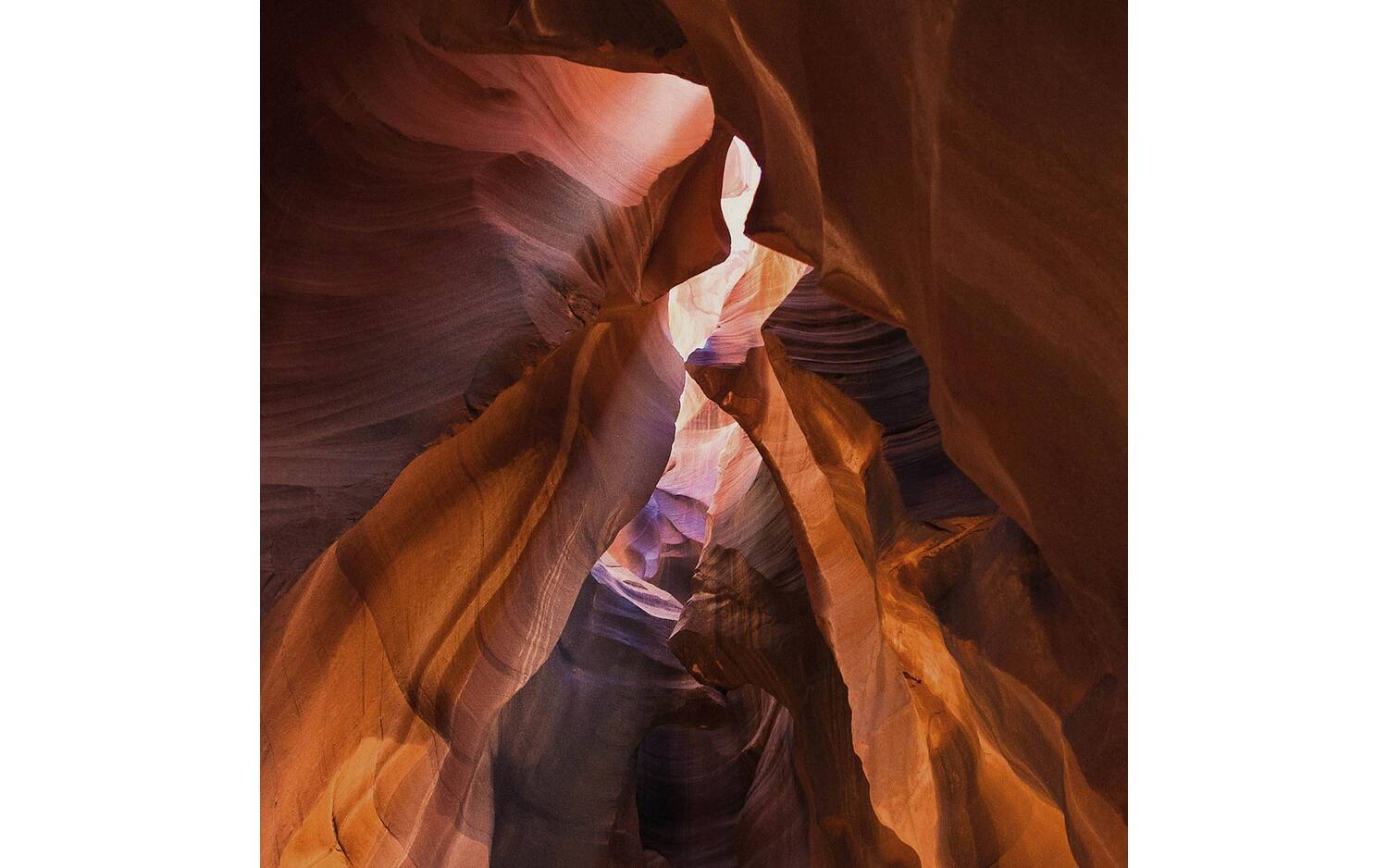 Goossens Schilderij Art Of Nature 1, 74 x 74 cm - 8718823249248