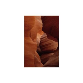 Goossens Schilderij Art Of Nature 2, 98 x 148 cm - 8718823249255