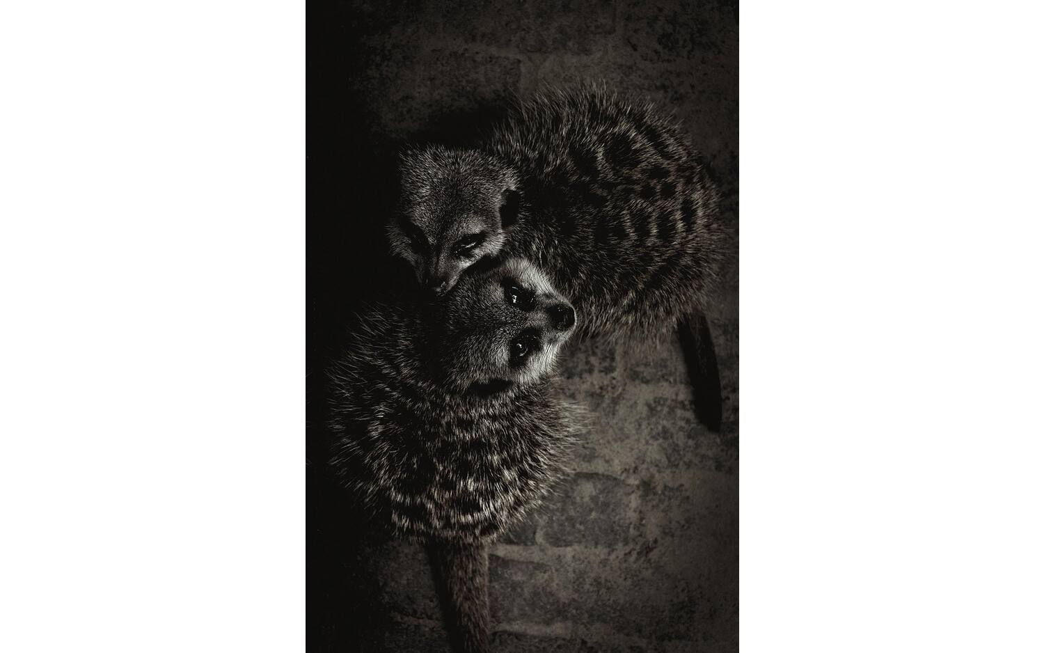 Goossens Schilderij Wild Life, 98 x 148 cm - 8718823250398