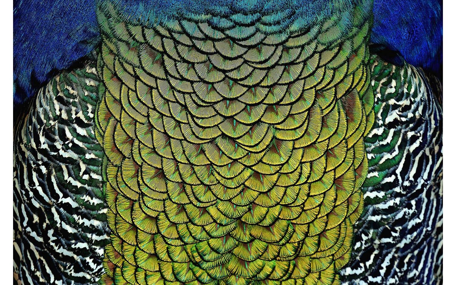 Goossens Schilderij Wonderful Life, 148 x 98 cm - 8718823250404