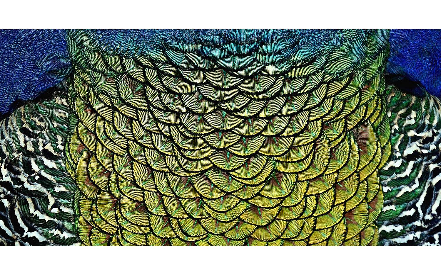 Goossens Schilderij Wonderful Life, 98 x 48 cm - 8718823250428
