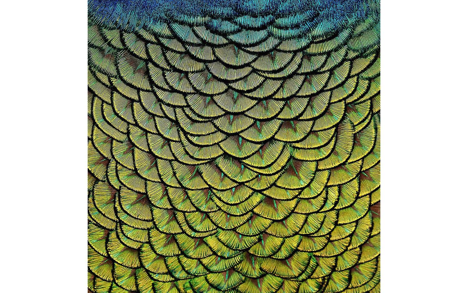 Goossens Schilderij Wonderful Life, 74 x 74 cm - 8718823250435