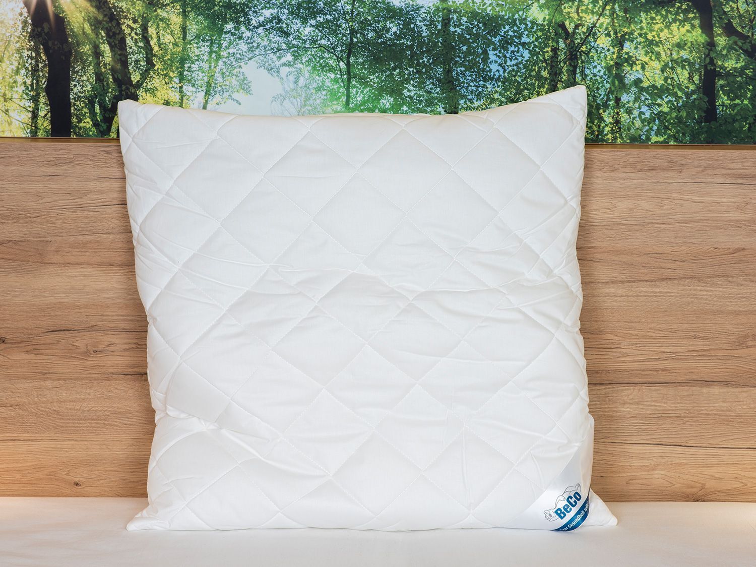 BeCo Hoofdkussen (80 x 80 cm) - 4019793429390