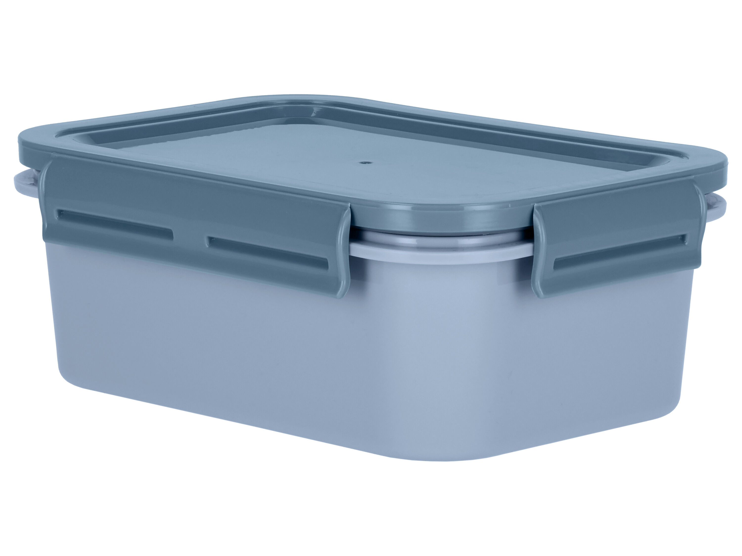SILVERCREST Vershoudbakje met inzetstukken (Blauw) - 4052916898352