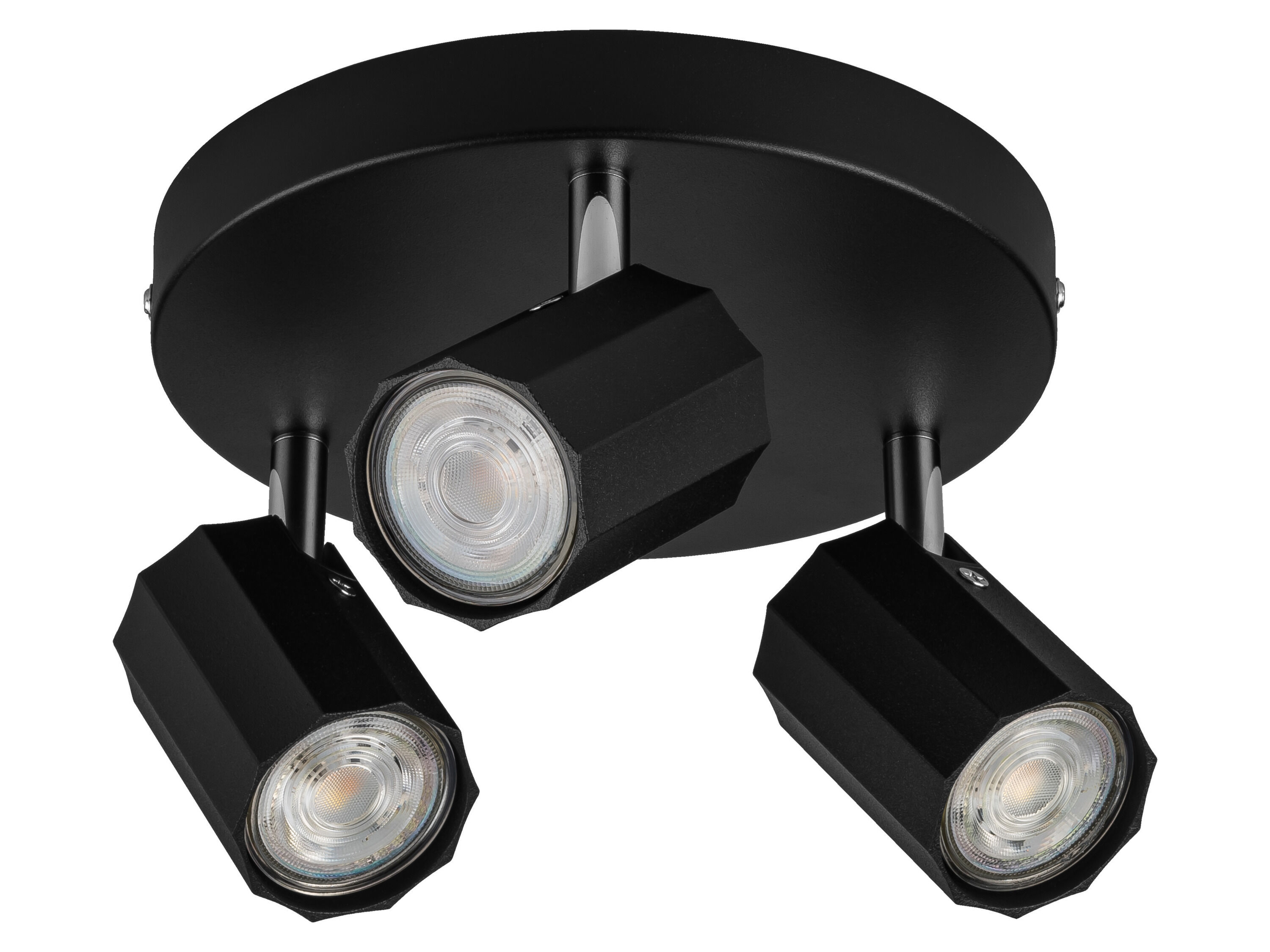 LIVARNO home Plafondlamp (Plafondlamp, mat zwart) - 4052916606438