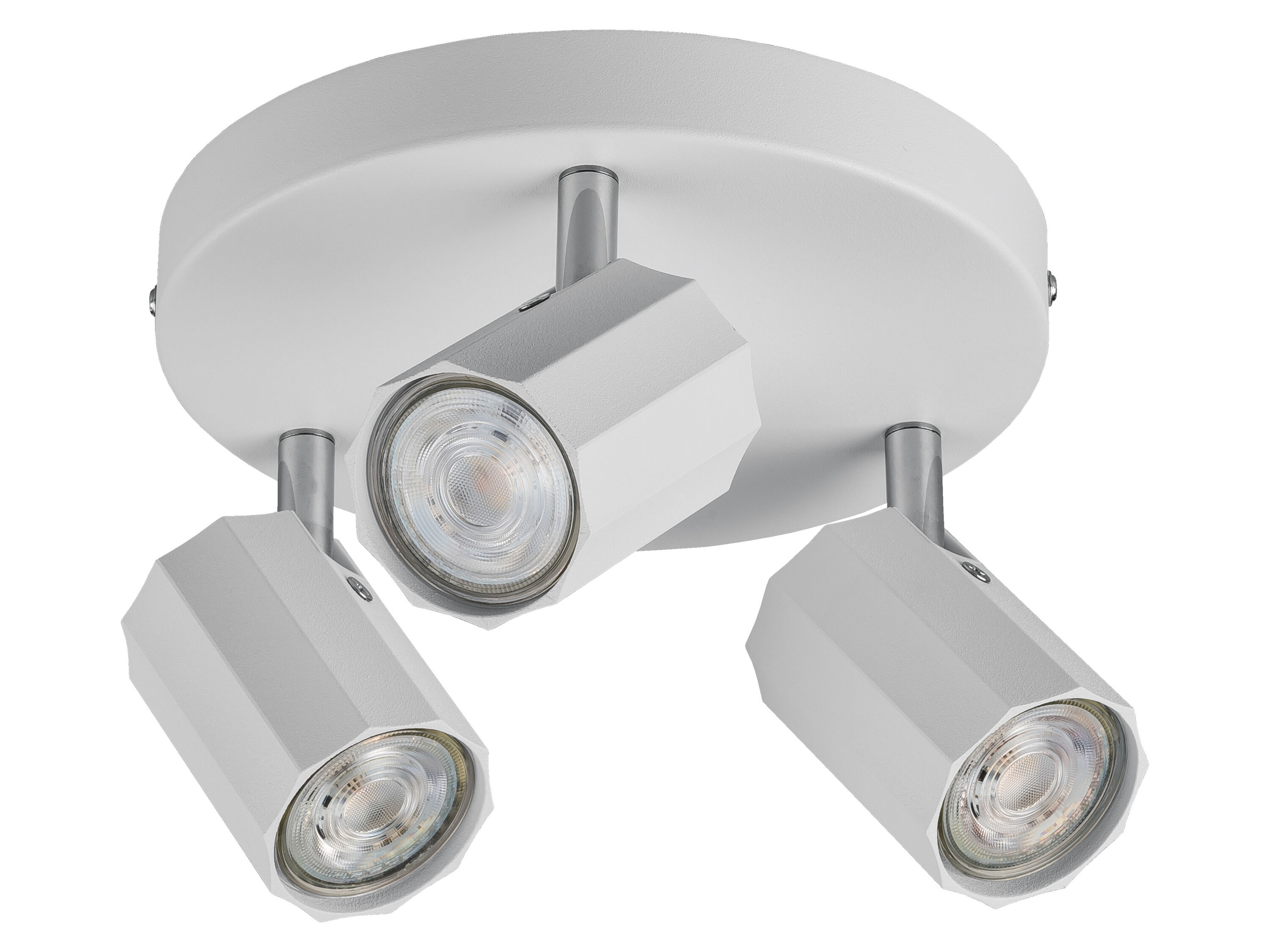 LIVARNO home Plafondlamp (Plafondlamp, mat wit) - 4052916606421