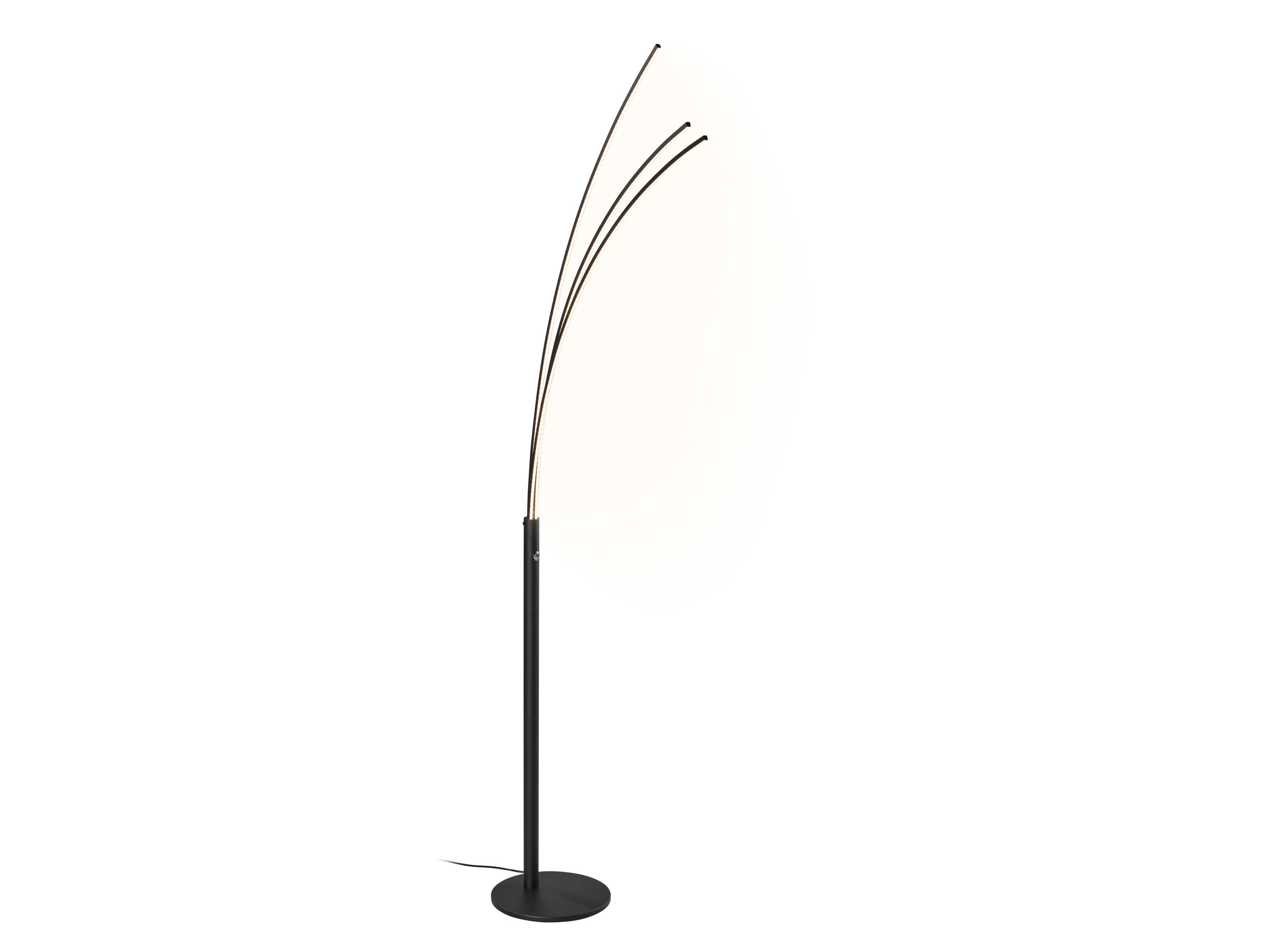 LIVARNO Staande LED-lamp (Palmlamp, Zwart mat) - 4052916917848