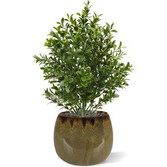 Buxus kunstplant 30cm - UV bestendig - 8718719448465