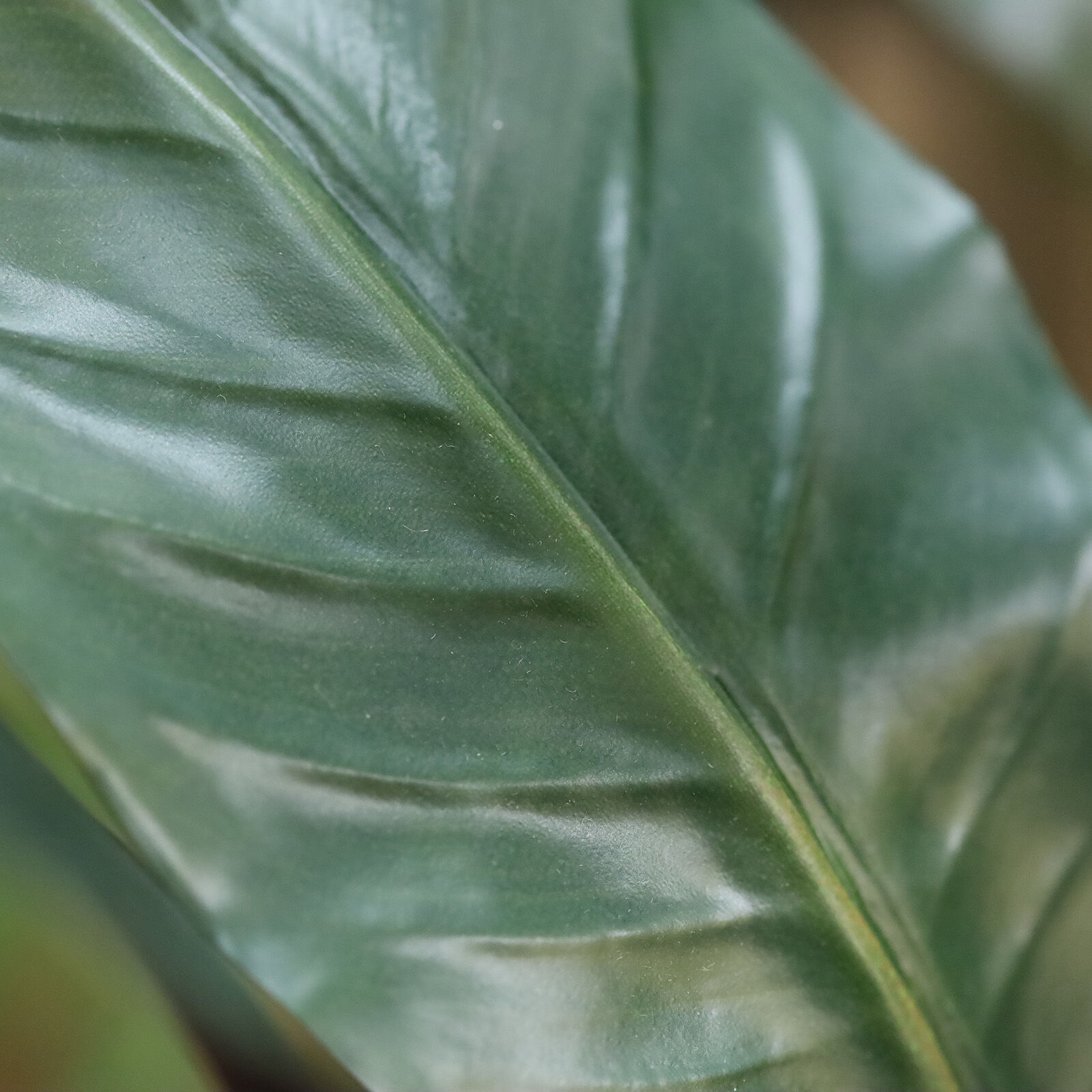 Red Calathea Luthea Kunstplant 140cm - 8721264102911