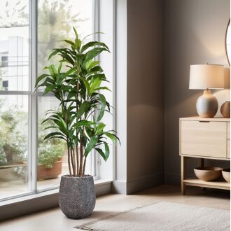 Draceana Fragrans XL kunstboom 170cm - 8720039971677
