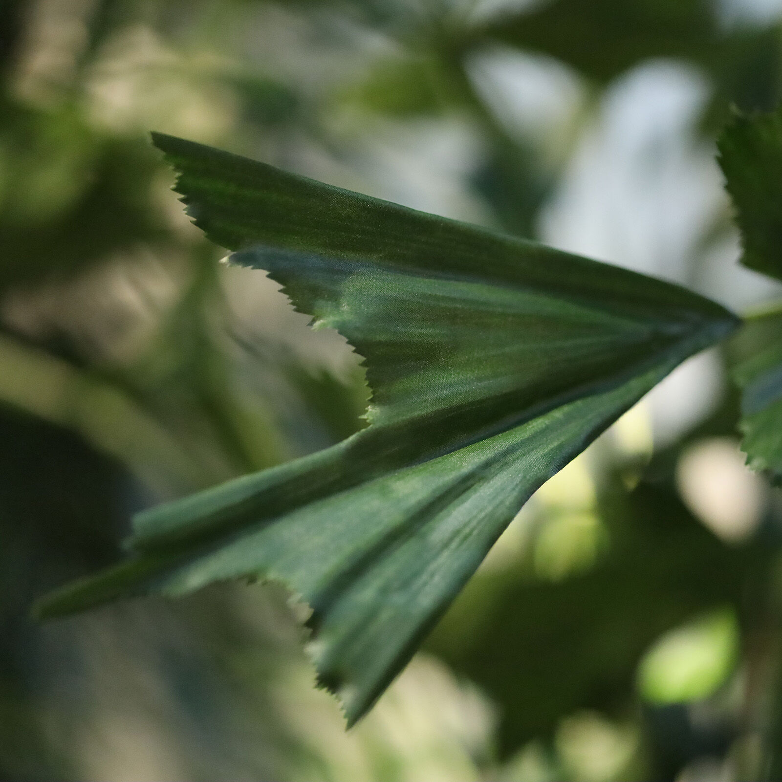 Fishtail Kunstpalm Deluxe XXL 300cm - 8721264103154