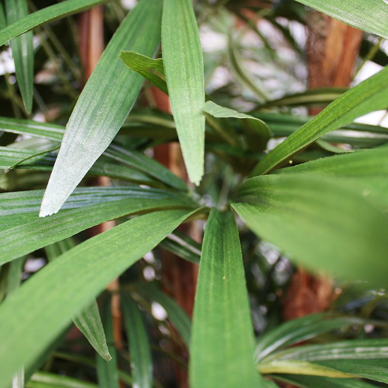 Raphis kunstpalm deluxe 160cm - FR - brandvertragend - 8718719445969