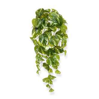 Pothos kunst hangplant 60cm - 8718719447765