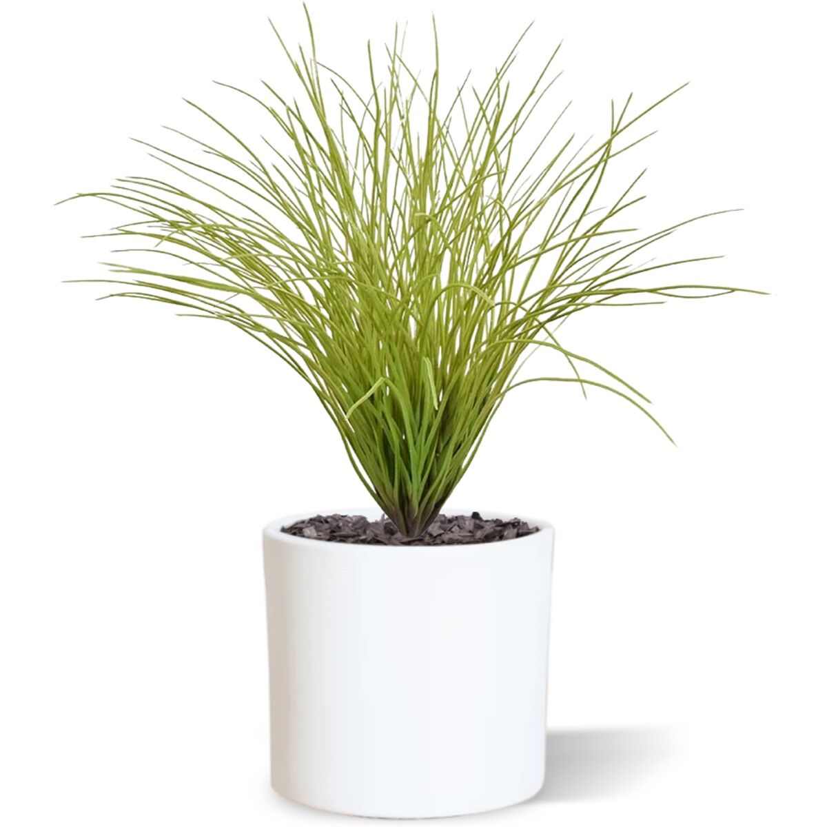 Kunst Grasplant 50cm - lichtgroen - 8720039972766