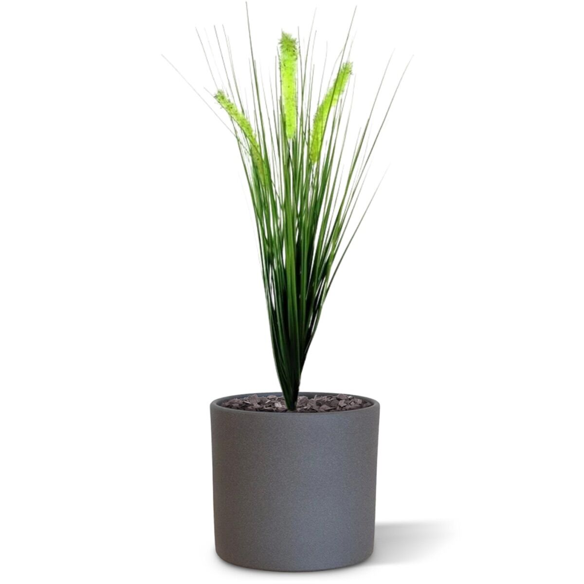 Pennisetum kunst Pluimgras plant 50cm - 8718719442340