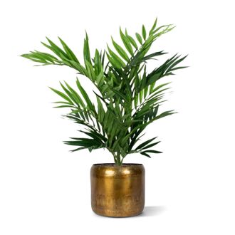 Parlour kunstpalm 50cm - 8718719442722