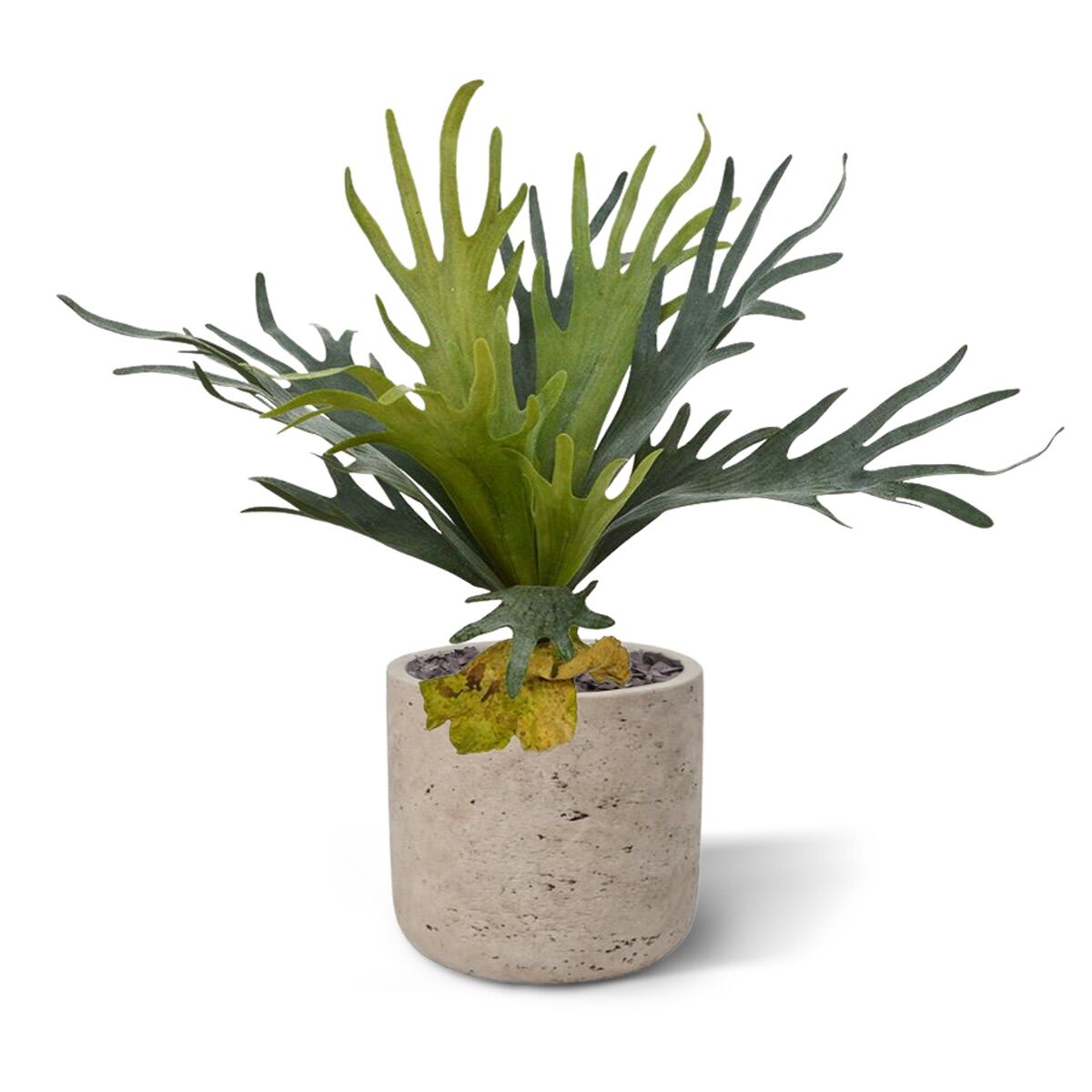 Hertshoorn kunstplant 50cm - 8718719446225