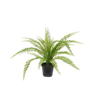 Asplenium Varen kunstplant 45cm - 8720039973190