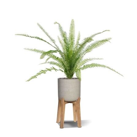 Asplenium Varen kunstplant 75 cm in 12cm pot - 8720039975644