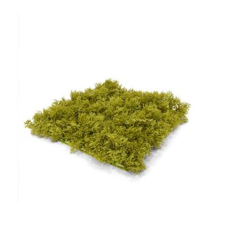 Rendier kunst Mosmat 25x25cm - groen - FR - brandvertragend - 8720039971080