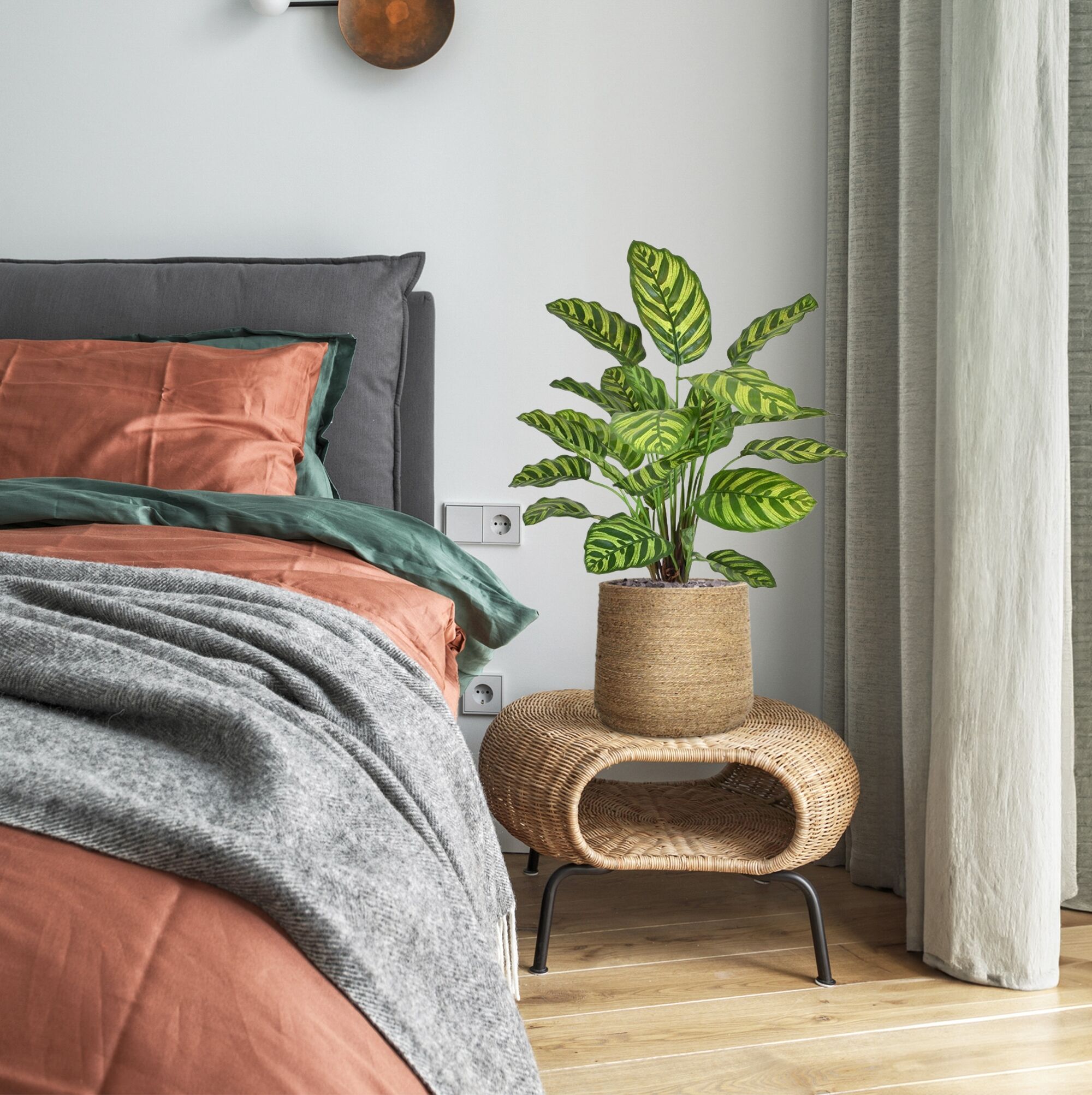 Calathea Makoyana kunstplant 60cm - 8720039972018