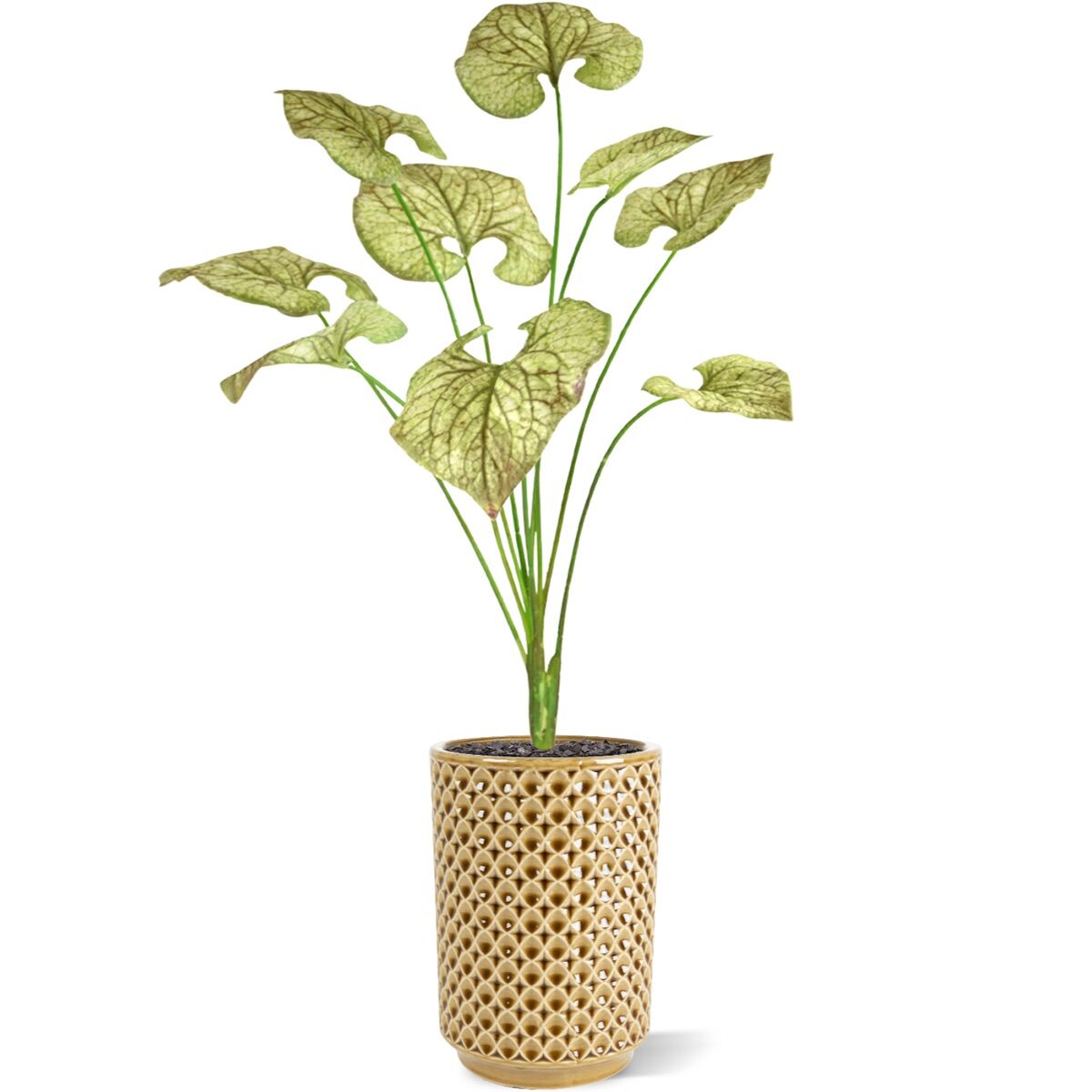 Brunnera kunstplant 55cm - groen/bruin - 8720039974012