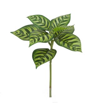 Calathea Makoyana Kunstplant 25cm bont - 8721264101242