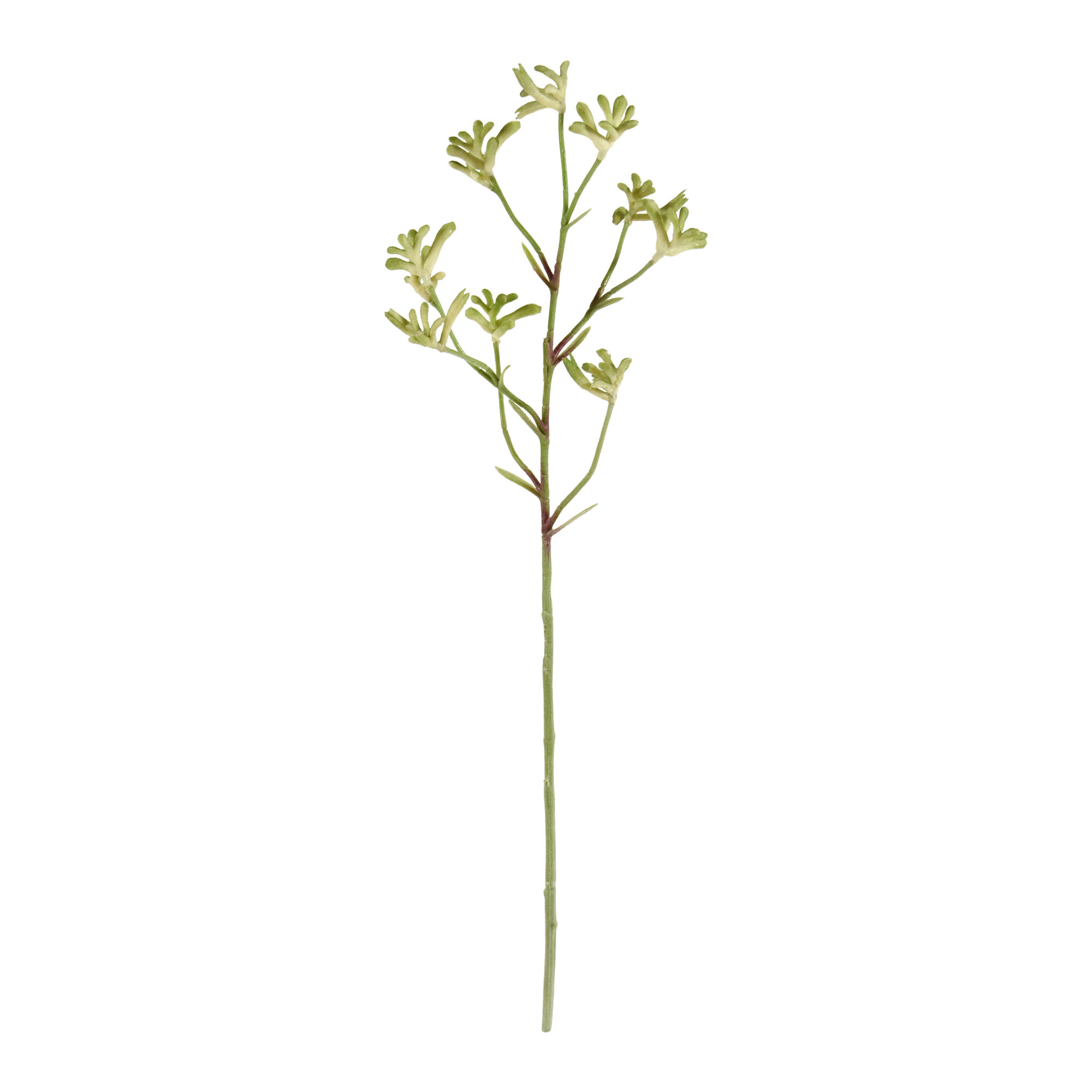 Kangaroepoot tak 70cm - groen - 8720039973459