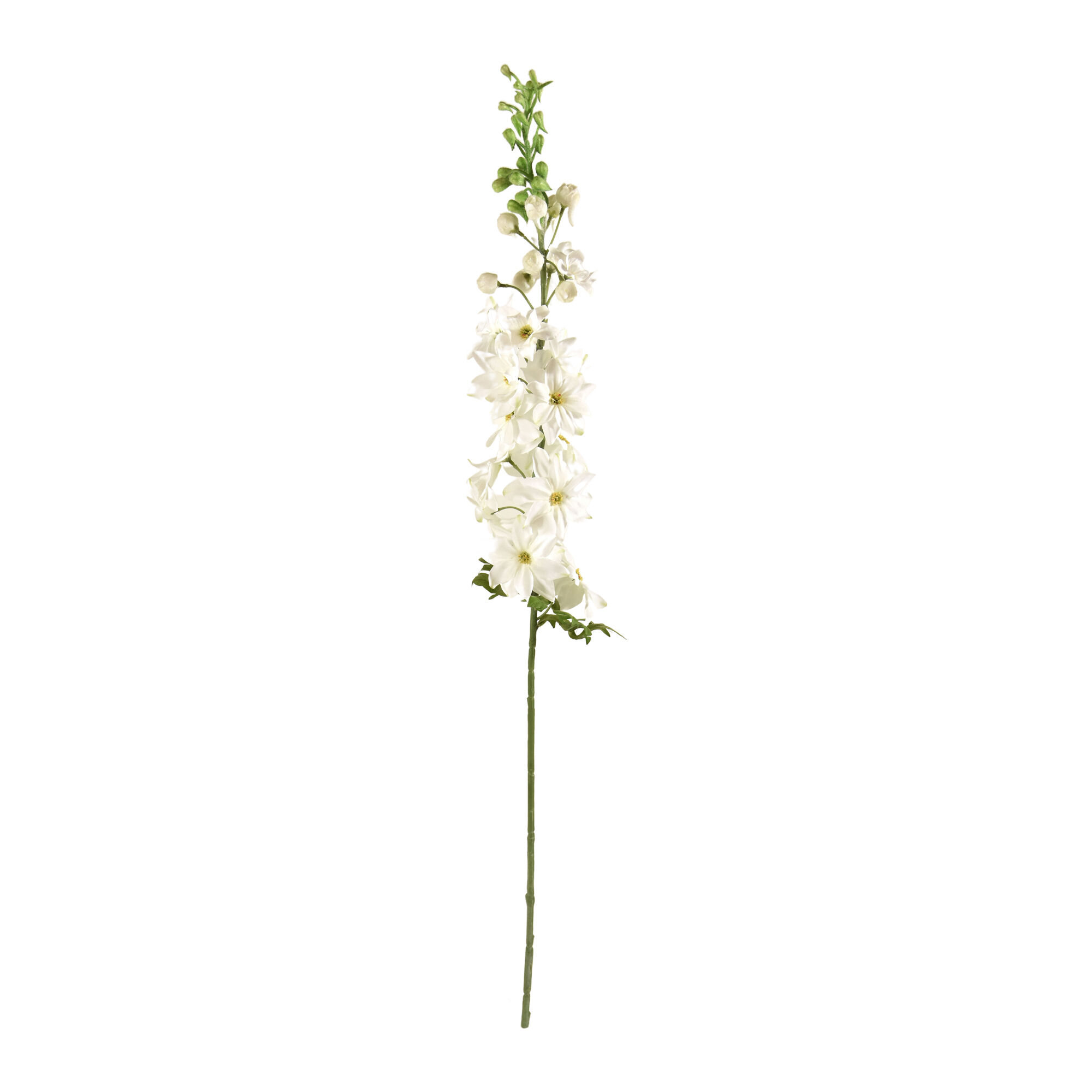 Delphinium tak Deluxe 100cm - wit - 8720039973480