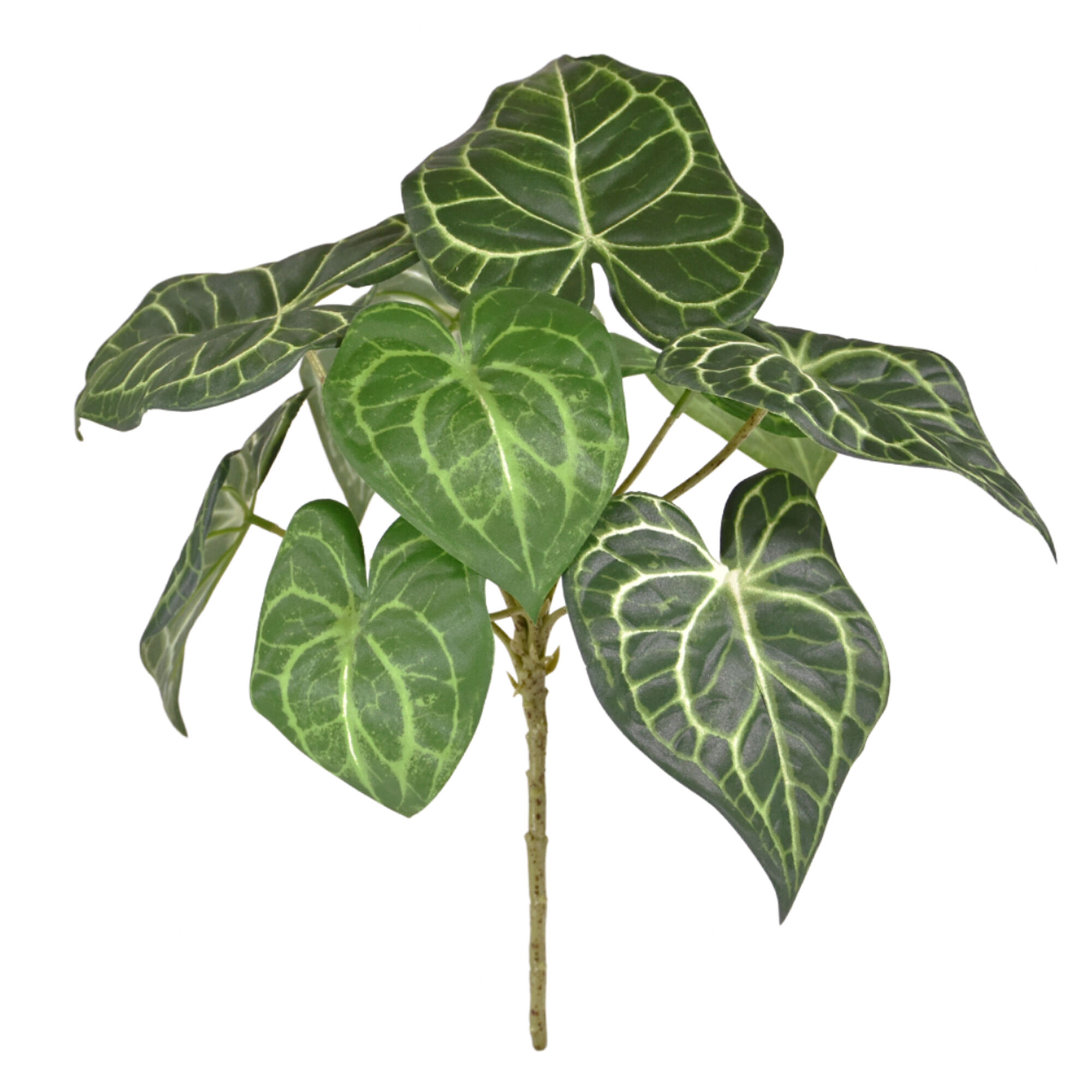 Anthurium Clarinervium kunstplant 30cm - 8720039974128