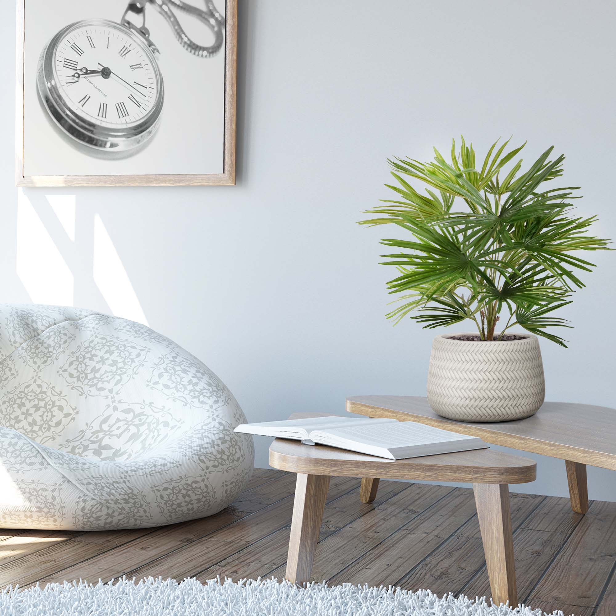 Baby Fan kunstpalm 45cm - 8720039974258