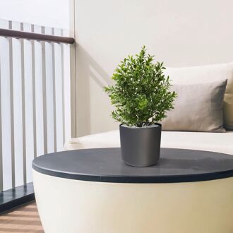 Buxus kunstplant 30cm in pot - UV bestendig - 8720039973022