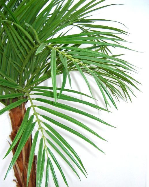Areca kunstpalm op stam 175cm - 8718719441510