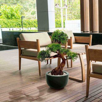 Ming Aralia Bonsai kunstboom op voet 90cm - groen - UV bestendig - 8718719447116
