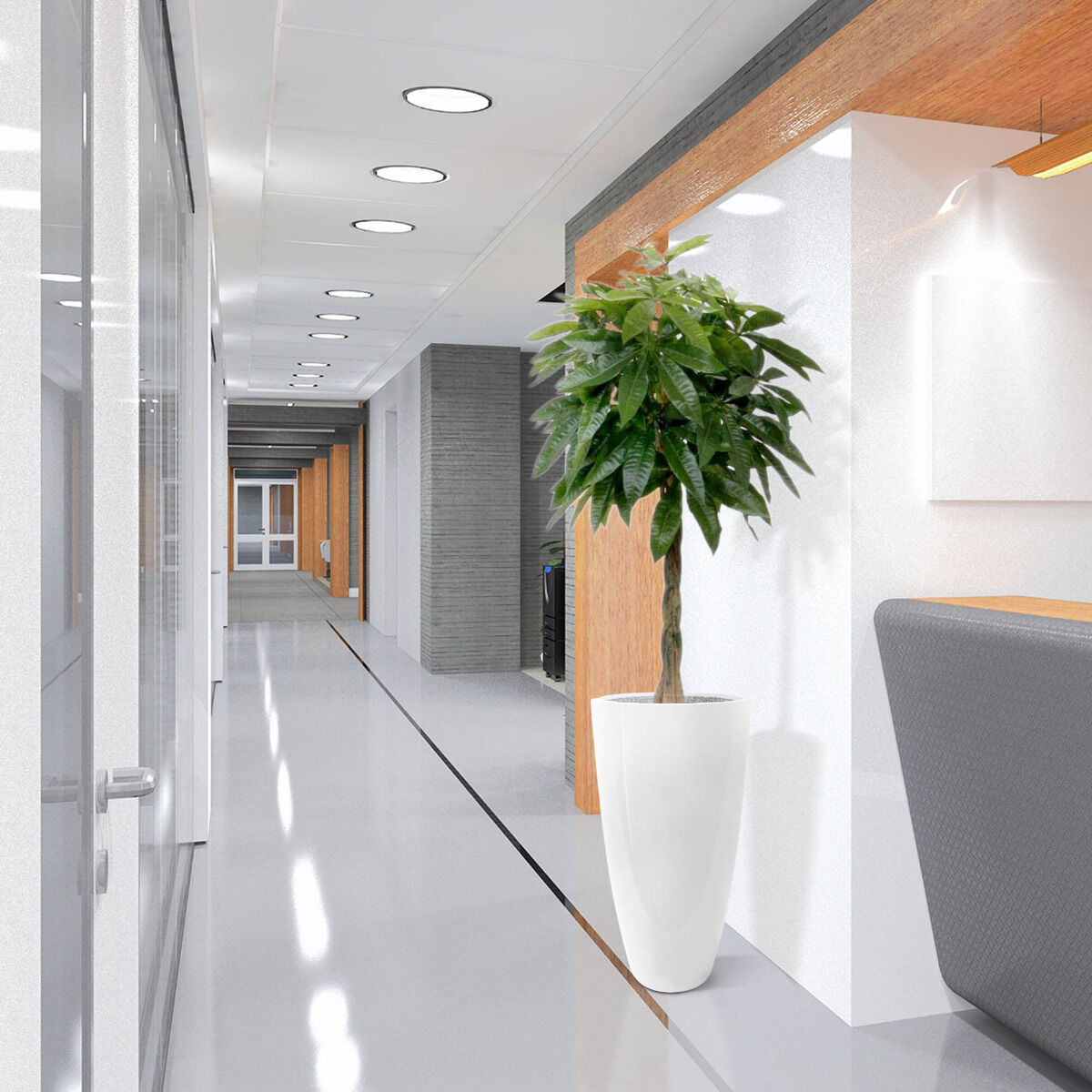 Pachira deluxe kunstplant 120cm - 8718719440780