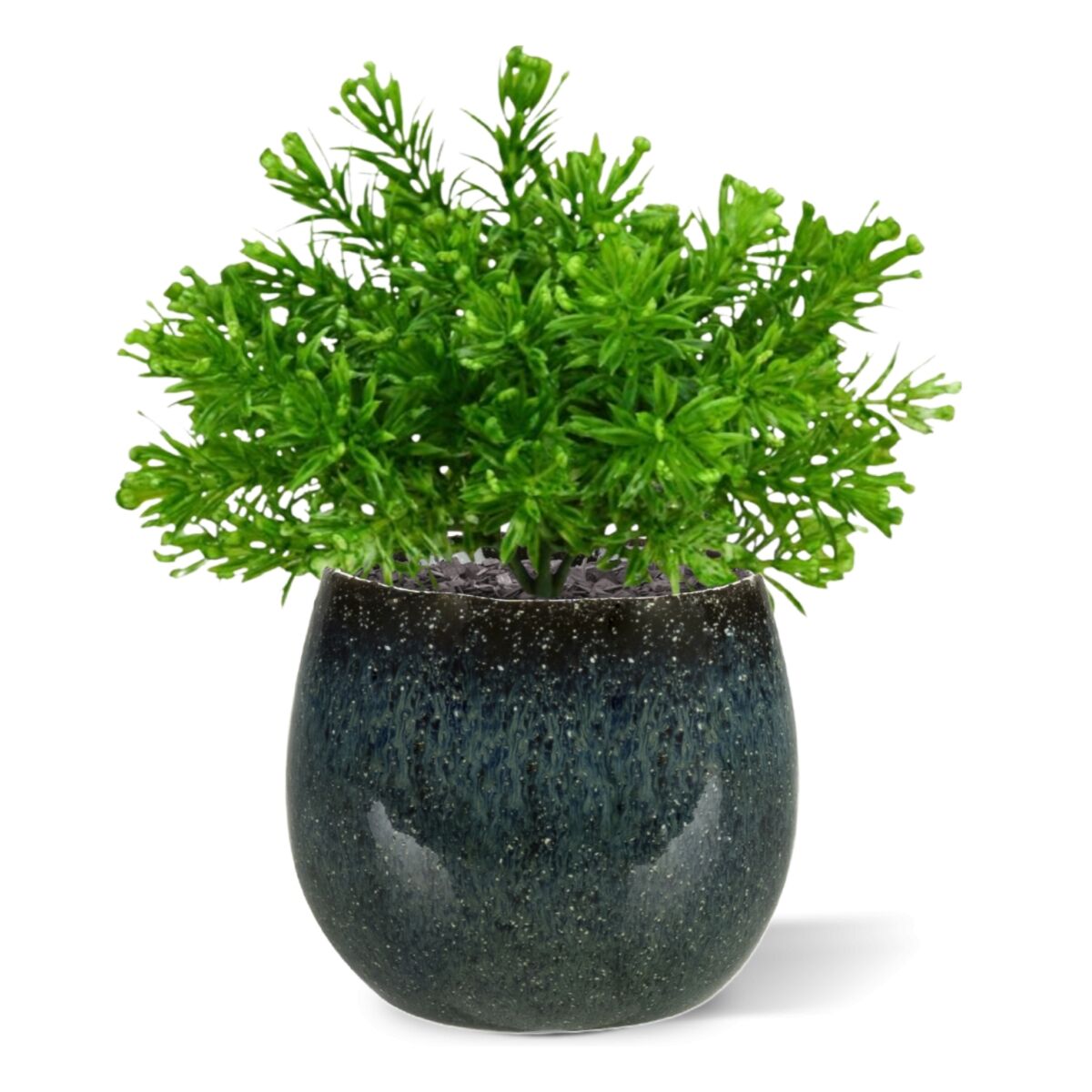 Senecio Mos kunstplant 15cm in pot - 8721264104656