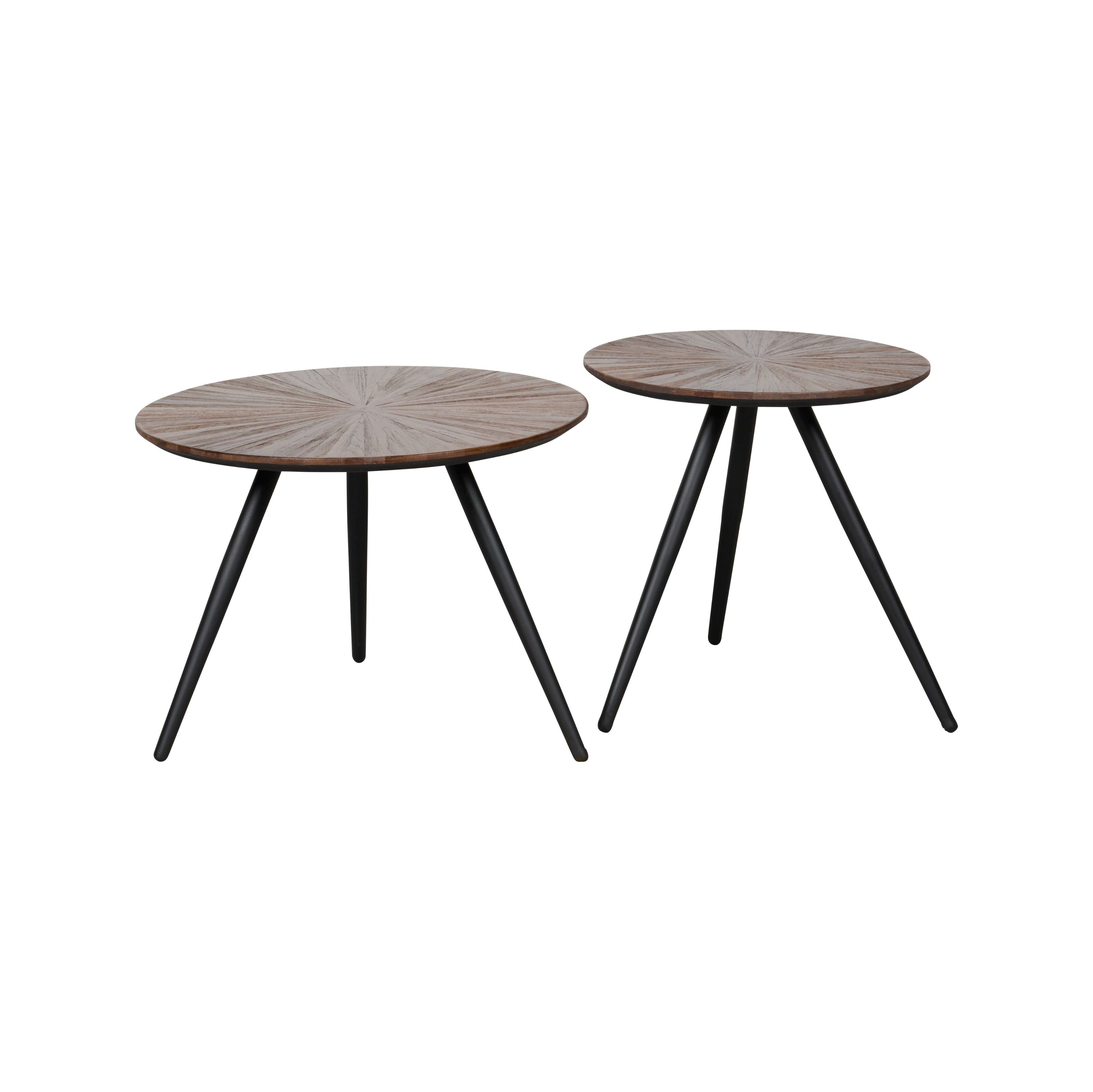 Corse - 8717297236716