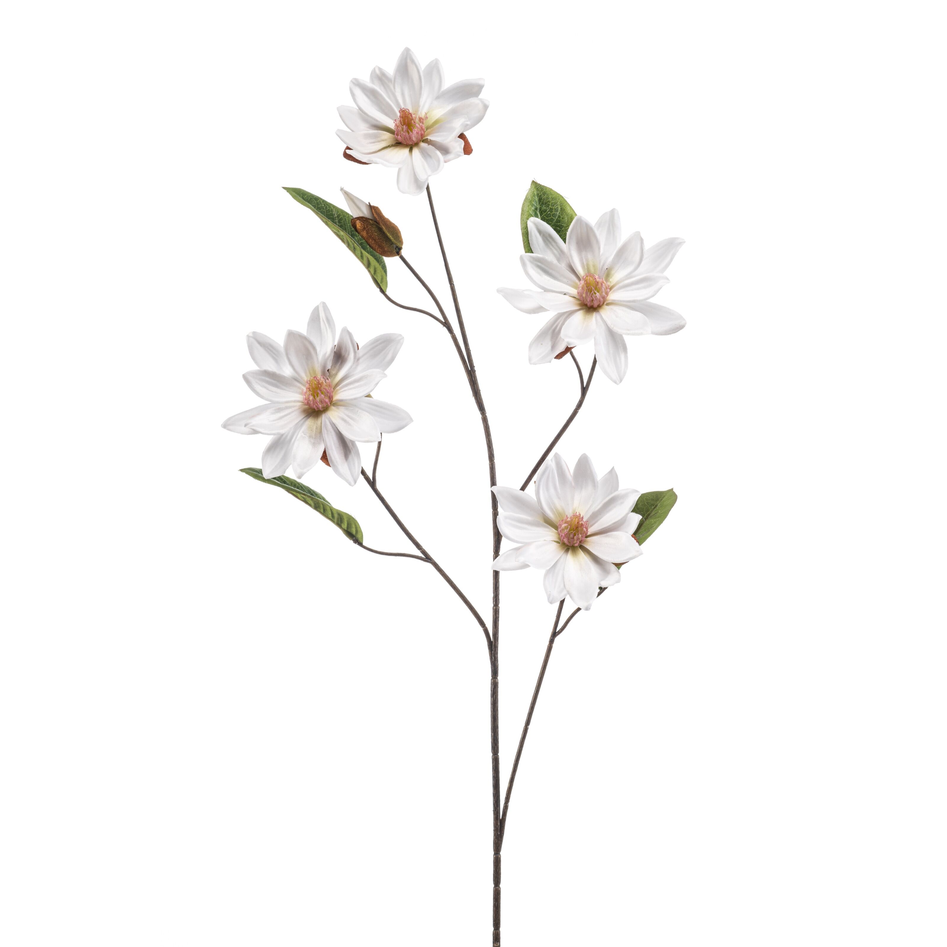 Magnolia - 8714344530155