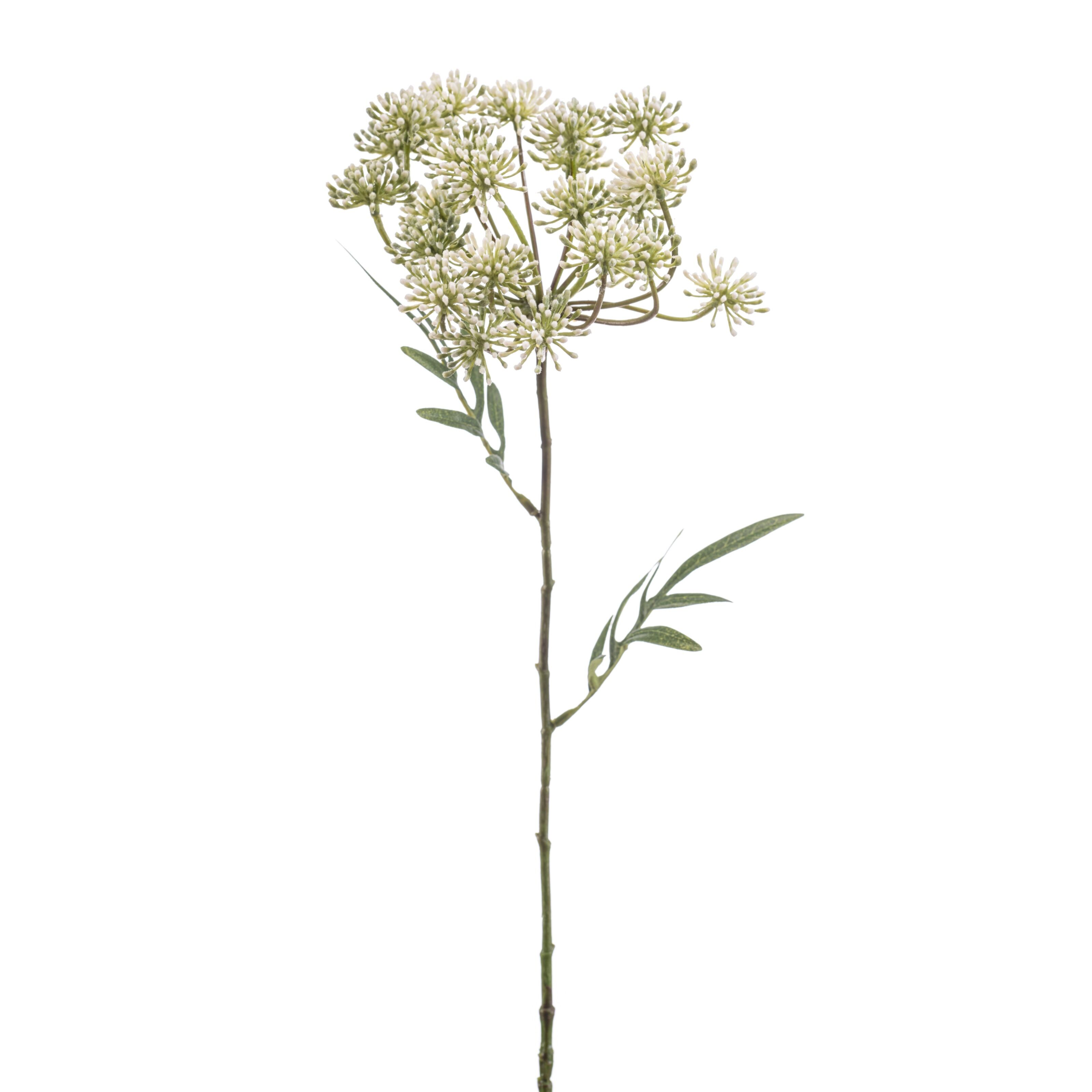 Dill - 8714344530827