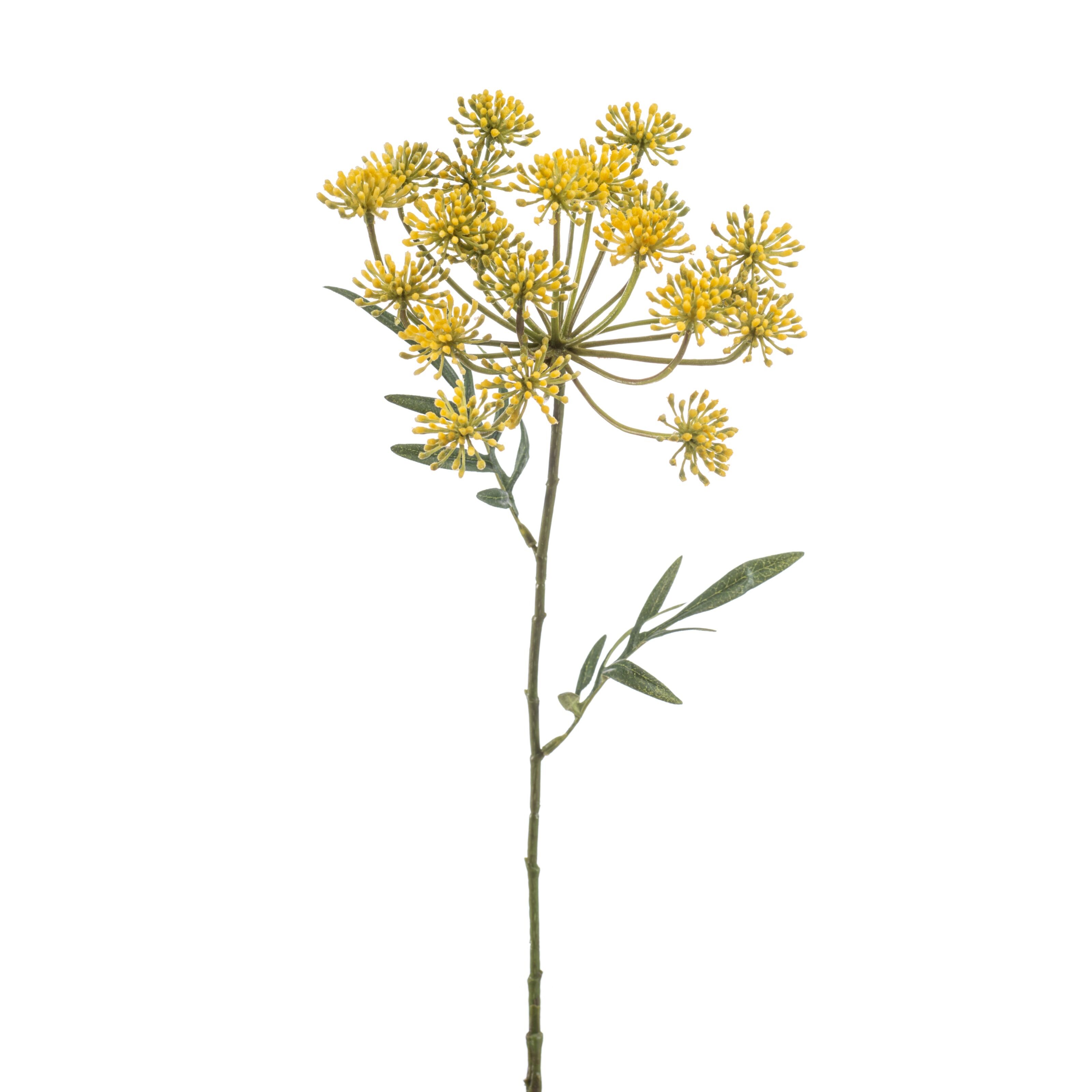 Dill - 8714344530841